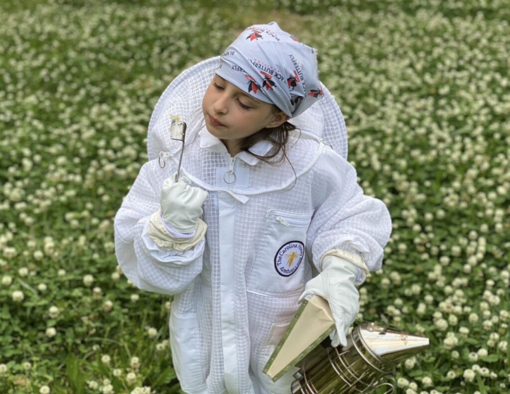 The apiary